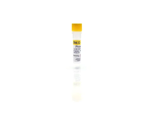 Protein A Standard G