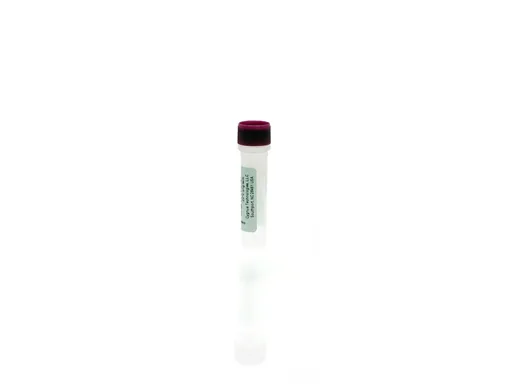 Protein A Antigen Concentrate