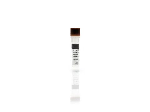 E. coli HCP Standard F