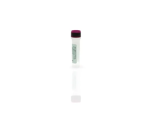 E. coli HCP Antigen Concentrate