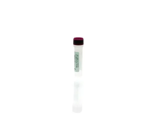 E. coli HCP Control Antigen
