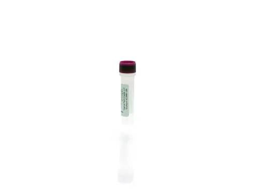 P. fluorescens Antigen Concentrate