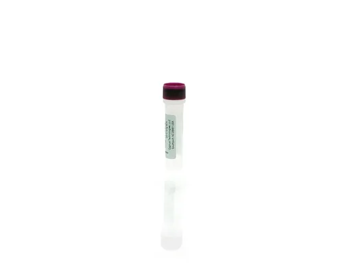 P. fluorescens Antigen Concentrate
