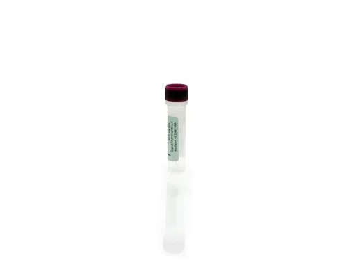BHK HCP Antigen Concentrate