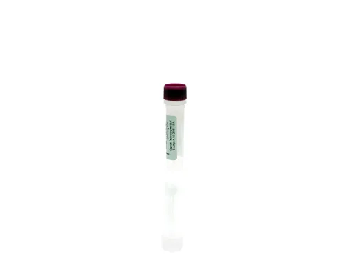 Simple Plex CHO HCP Antigen Concentrate