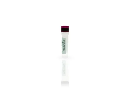 CHO HCP Antigen Concentrate, 3G