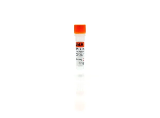 Protein A Standard H