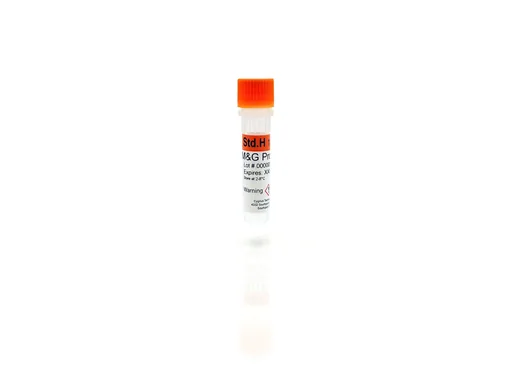 Protein A Standard H
