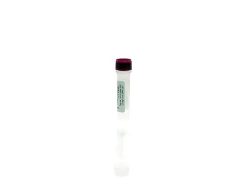 Protein A Antigen Concentrate