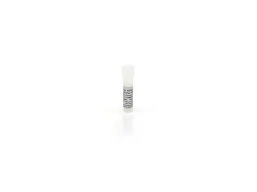 Simple Plex HEK293 HCP Antigen Concentrate