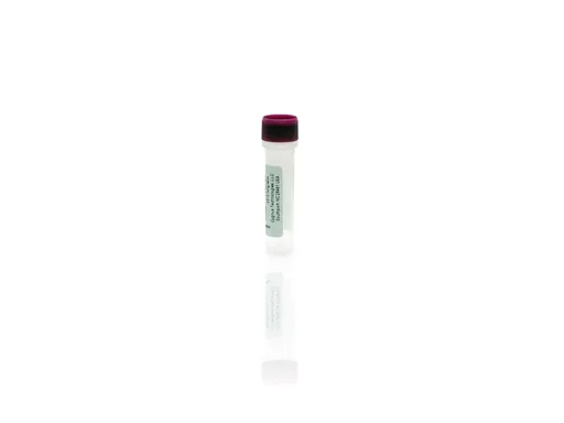 Amsphere™ A3 Ligand Protein A Standard H for F740 Kit