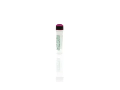 Amsphere™ A3 Ligand Protein A Antigen Concentrate