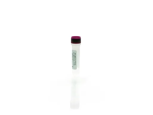 MDCK Antigen Concentrate