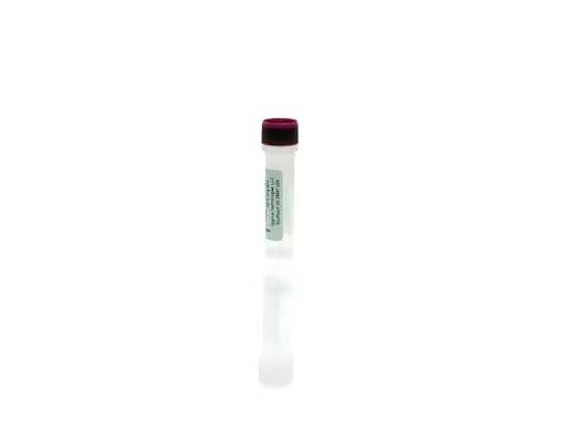 Avantor J.T.Baker® BAKERBOND® PROchievA™ Protein A Antigen Concentrate