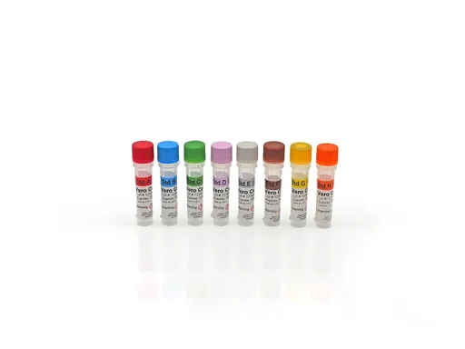Vero Cell HCP 2G Standards Set A - H