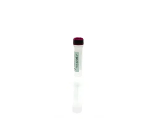 Vero Cell 2G HCP Control Antigen