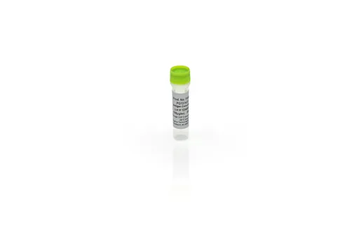 PG13 HCP Antigen Concentrate