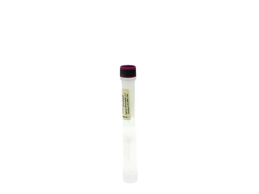 Anti-CAP® HCP