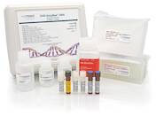 CHO AccuRes™ DNA Quantification Kit in Wells
