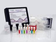 Human Host Cell DNA Detection Kit in Tubes