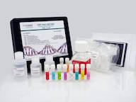 CHO Host Cell DNA Detection Kit in Tubes