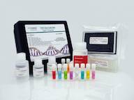 CHO Host Cell DNA Kit in Wells