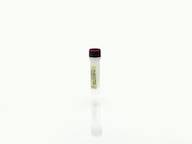 CHO Lysate Antigen Concentrate