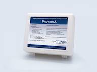 Protein A ELISA Kit