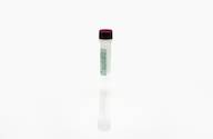 S. cerevisiae Antigen Concentrate