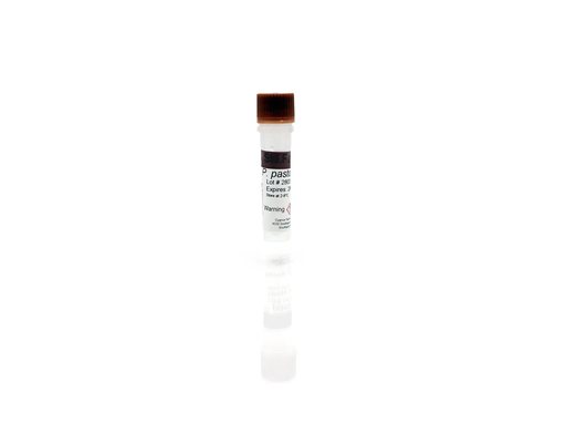 P. pastoris HCP Standard F