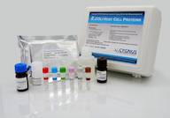 E. coli HCP ELISA Kit