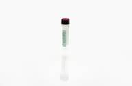 BHK HCP Antigen Concentrate