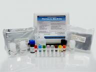 Protein A Mix-N-Go™ ELISA Kit for UnNatural Protein A Constructs