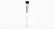 Amsphere™ A3 Ligand Protein A Antigen Concentrate