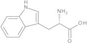 Tryptophan (L-Tryptophan)