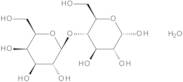 Lactose Monohydrate