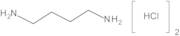 Putrescine Dihydrochloride