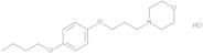 Pramoxine Hydrochloride