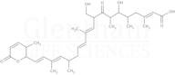 Kazusamycin B