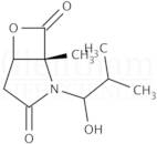 clasto-Lactacystin β-lactone