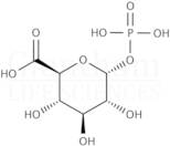 a-D-Glucuronic acid-1-phosphate