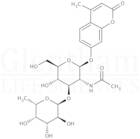 4-Methylumbelliferyl 2-acetamido-2-deoxy-3-O-(a-L-fucopyranosyl)-b-D-glucopyranoside