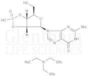 Guanosine 2’,3’-cyclic phosphate triethylamine salt