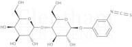 β-D-Lactopyranosylphenyl isothiocyanate