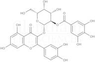 Quercetin 3-b-galactoside-2''-O-gallate