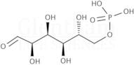 D-Glucose-6-phosphate