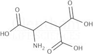 γ-Carboxy-DL-glutamic acid