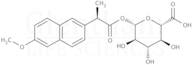 (R)-Naproxen acyl-b-D-glucuronide