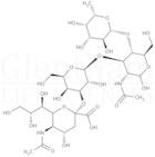 3′-Sialyl-Lewis-a tetrasaccharide