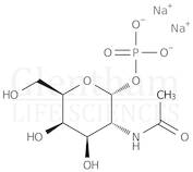 N-Acetyl-α-D-galactosamine 1-phosphate, disodium salt